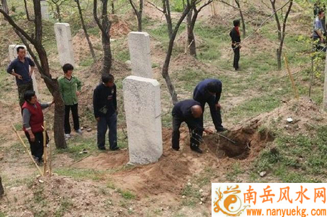 李美琪电影 李美琪电影都有哪几部 李美琪电影 李美琪电影都有哪几部