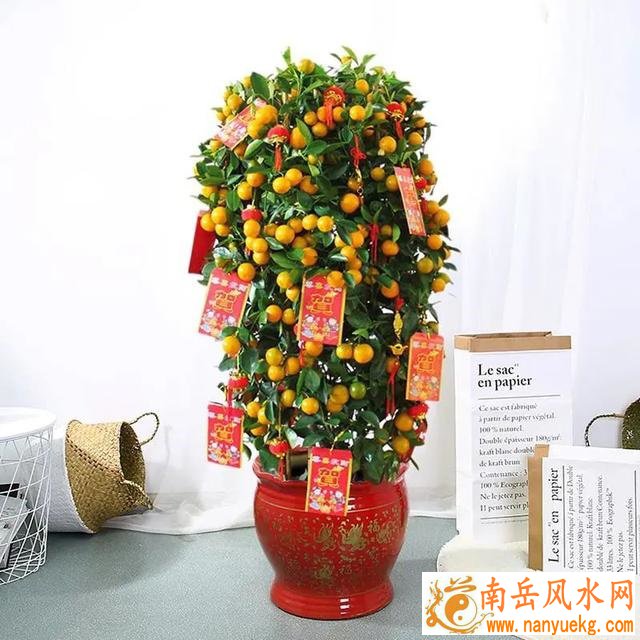 婚姻中的生肖鼠会影响夫妻感情运势查询的结果(十二生肖夫妻感情运势查询会影响鼠年婚姻幸福) 婚姻中的生肖鼠会影响夫妻感情运势查询的结果(十二生肖夫妻感情运势查询会影响鼠年婚姻幸福)