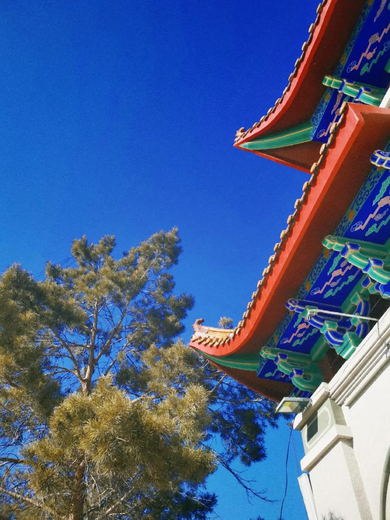 属狗女几月出生命最好农历 属狗人出生日的命运 属狗人哪天出生 属狗女几月出生命最好农历 属狗人出生日的命运 属狗人哪天出生