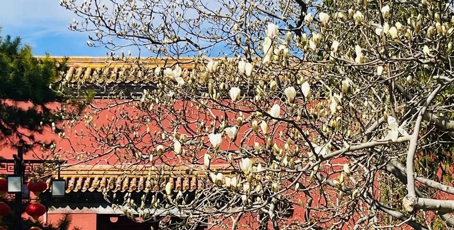 神位上贴红纸可以招财吗 神位上贴红纸可以招财吗