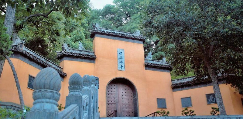演员白百何 演员白百何近照 演员白百何 演员白百何近照