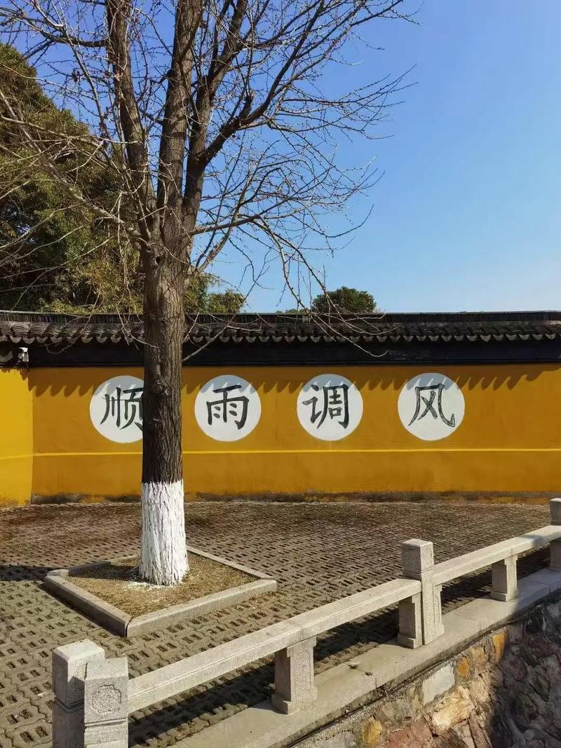 电影演员舒淇个人资料 电影演员舒淇个人资料