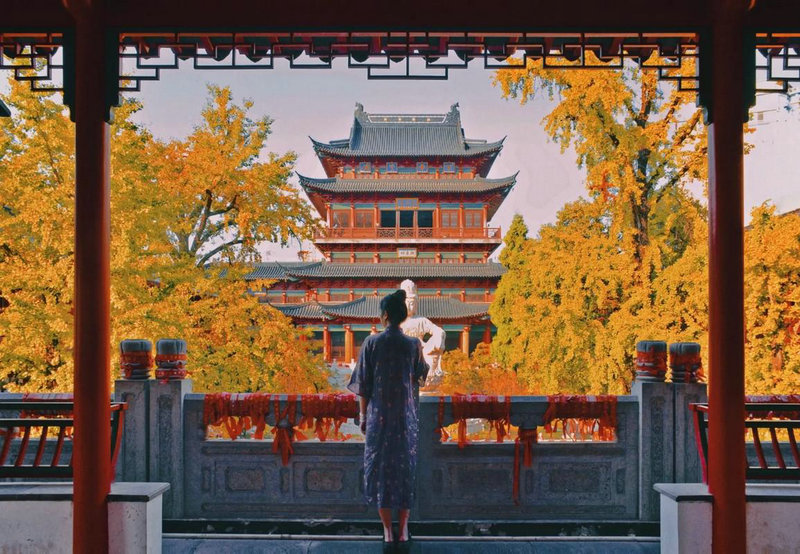 车牌号556的吉凶在己亥年会影响个人运势与生活发展呢 车牌号556的吉凶在己亥年会影响个人运势与生活发展呢