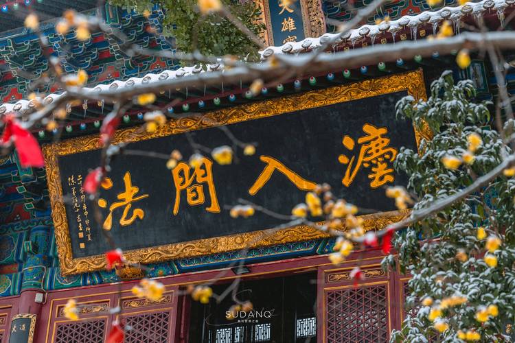 现捞卤菜店名字创意 招财旺运店铺取名 现捞卤菜店名字创意 招财旺运店铺取名