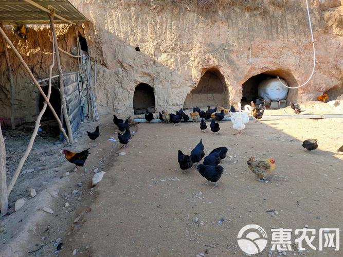 令12星男想逃离的女人 令12星男想逃离的女人
