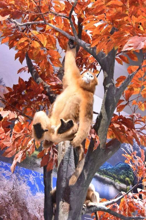 家中出现天斩煞对住宅风水有哪些影响 该如何处理 家中出现天斩煞对住宅风水有哪些影响 该如何处理