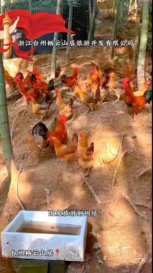 在寻找生日搞笑配对图片高清无水印时 避免版权问题和质量不达标的困扰呢 在寻找生日搞笑配对图片高清无水印时 避免版权问题和质量不达标的困扰呢