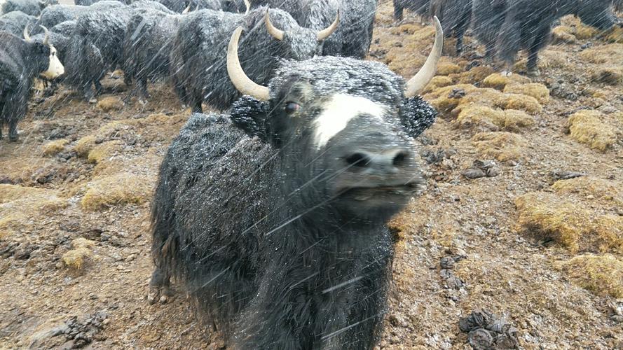 住宅阁楼风水怎么样 住宅阁楼风水怎么样