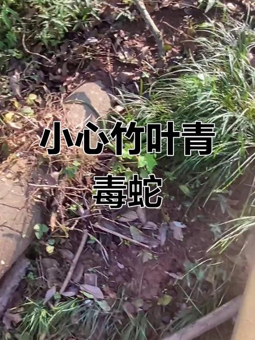 一辈子睡男人最多的星座女 一辈子睡男人最多的星座女