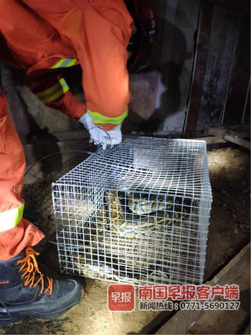 相爱却不能结婚 八字配对表查询情路坎坷原因 相爱却不能结婚 八字配对表查询情路坎坷原因
