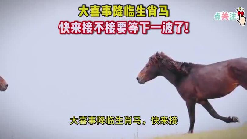 丑年是什么生肖 丑年是什么生肖