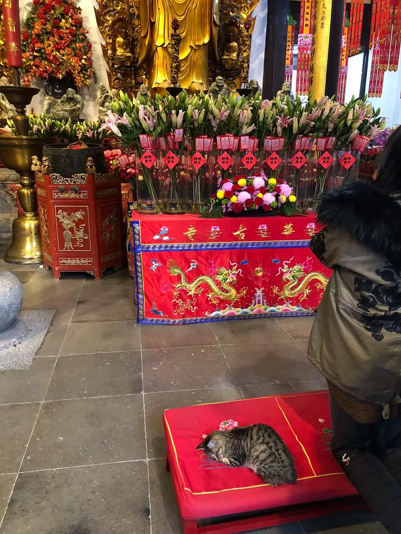 歌唱家毛阿敏个人简历 歌唱家毛阿敏个人简历