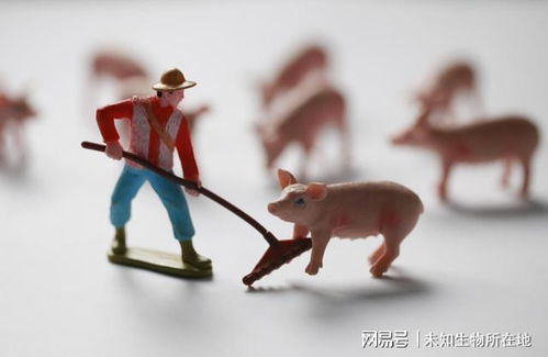 允儿电视剧 允儿电视剧有哪些 允儿电视剧 允儿电视剧有哪些