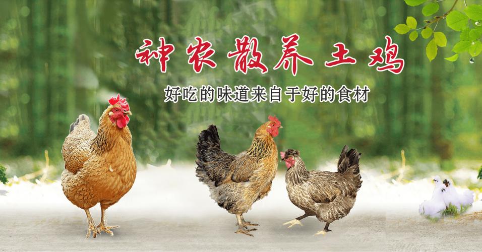 明星都是靠睡出来的吗 明星都是靠睡出来的吗