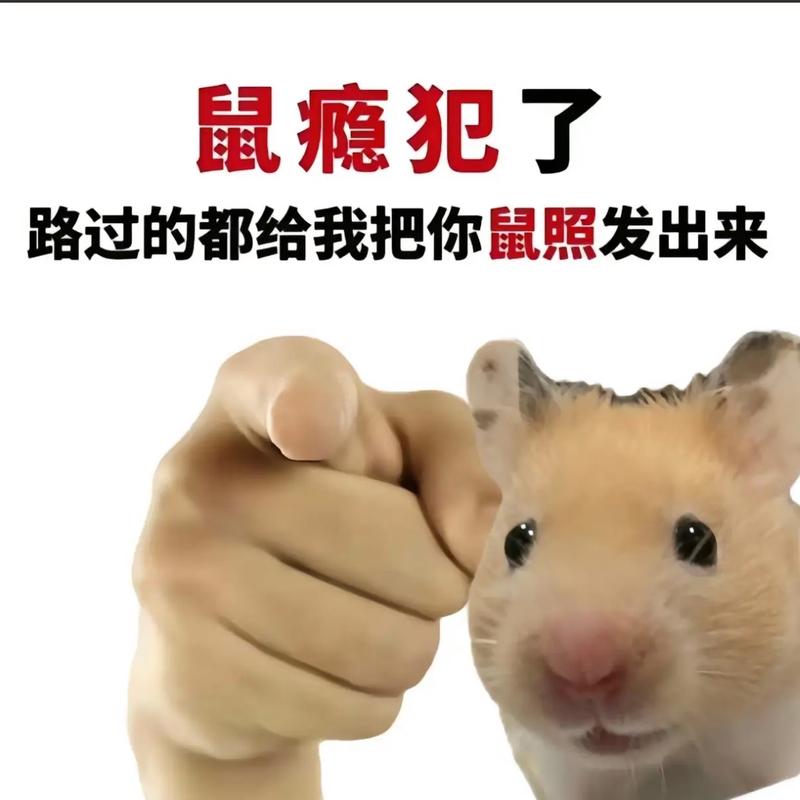 流浪地球电影全部演员 流浪地球电影全部演员