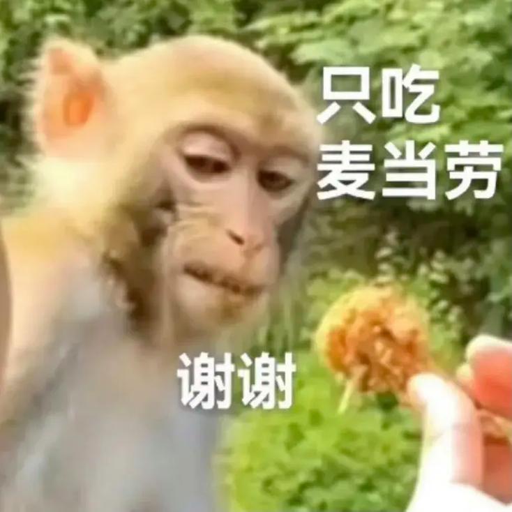 Ů������Ӳ��ʲô���� ��Ӳ��Ů����ʲô����