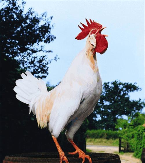 �ưɵ�¥�ݿ��������Ŵ�����