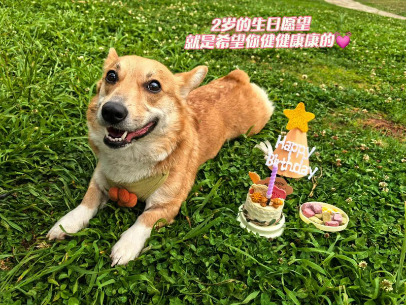 仕途签解签黄大仙抽签解签钟馗得道能满足好奇心(黄大仙抽签解签钟馗得道_好奇心会带来阻碍) 仕途签解签黄大仙抽签解签钟馗得道能满足好奇心(黄大仙抽签解签钟馗得道_好奇心会带来阻碍)