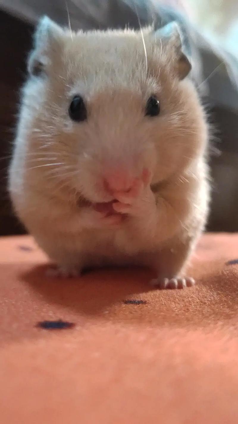 ũ�����³�����Ů�������� ��ȫ��׼��Ŷ ��