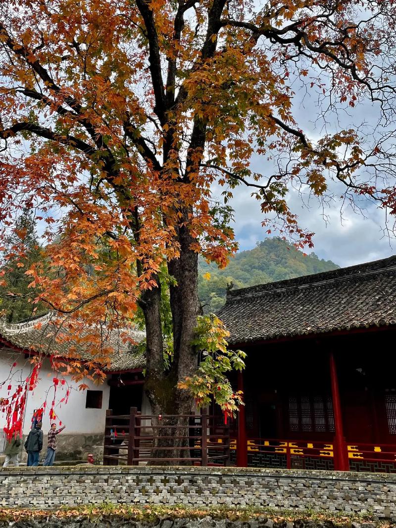 农历初五十四二十三 阴历初五十四二十三为什 农历初五十四二十三 阴历初五十四二十三为什