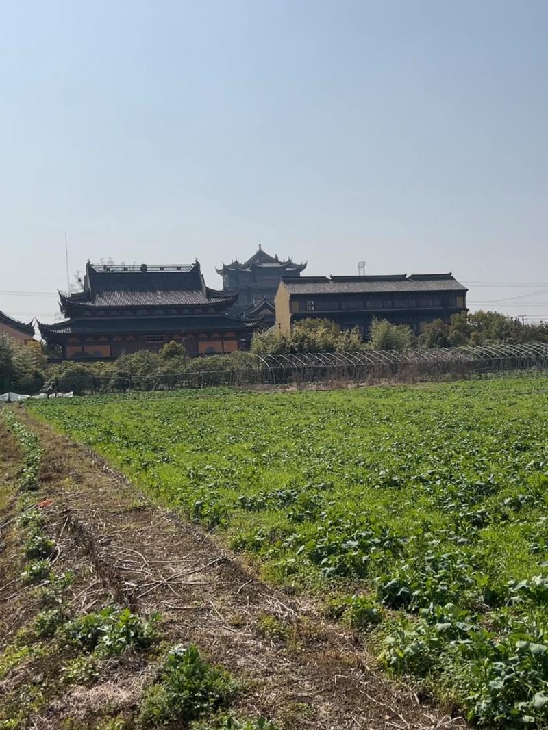 什么时间可以找朋友借钱吗 什么时间可以找朋友借钱吗