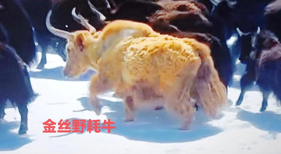 创业公司起名字怎样才能更好地助力成功呢(创业公司起名字真的能决定成败的关键所在) 创业公司起名字怎样才能更好地助力成功呢(创业公司起名字真的能决定成败的关键所在)