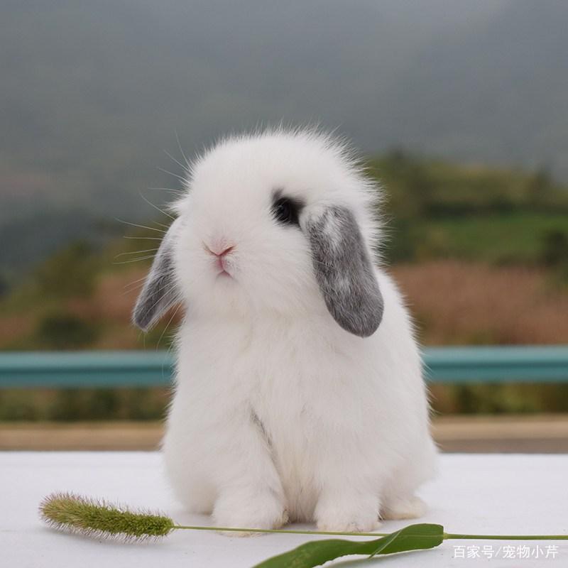 ��δ����������������Ӱ��������ƺ��˼ʹ�ϵ�ķ�չ