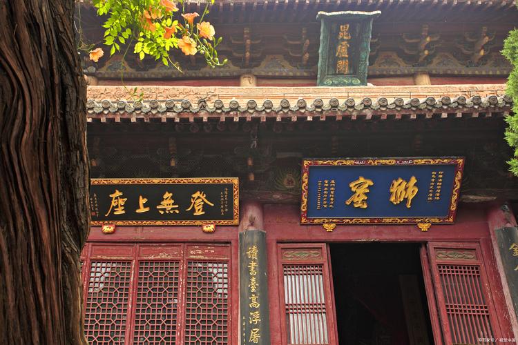 杨洋待播剧杨洋待播剧哪个播不了 杨洋待播剧杨洋待播剧哪个播不了