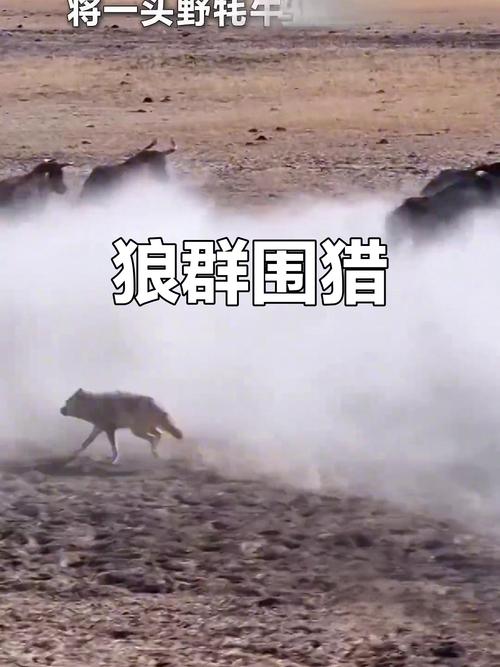汽车销售店铺取什么名字好 高端洋气车行起名 汽车销售店铺取什么名字好 高端洋气车行起名