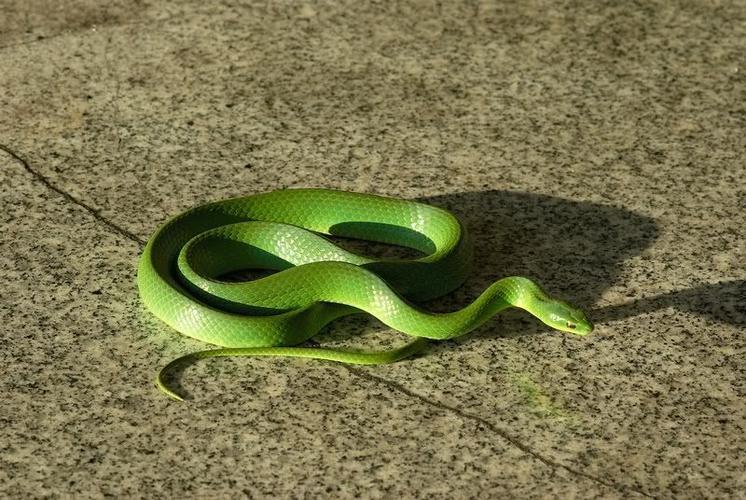 同名同姓姜汶池承载家庭责任感的沉重担子(同名同姓姜汶池能否在家庭责任感上有所作为) 同名同姓姜汶池承载家庭责任感的沉重担子(同名同姓姜汶池能否在家庭责任感上有所作为)