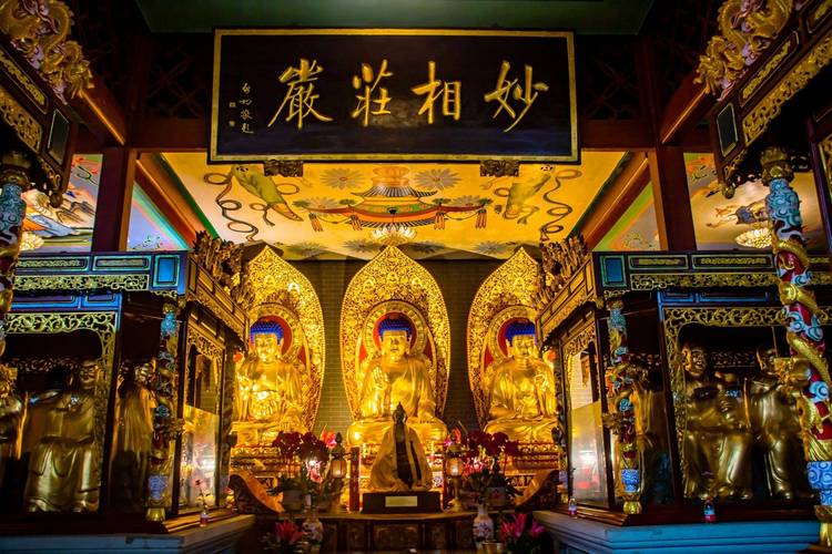 温峥嵘百科 温峥嵘个人资料(简介 身高 年龄) 温峥嵘百科 温峥嵘个人资料(简介 身高 年龄)