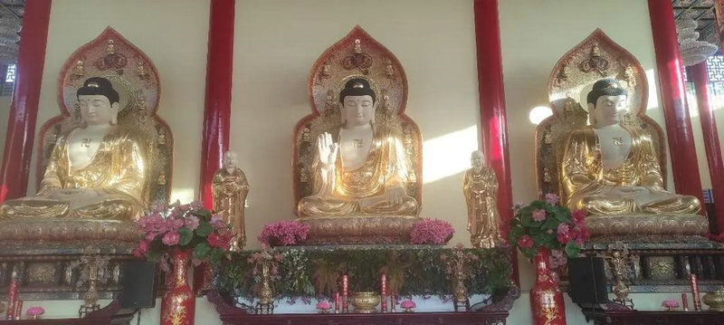戴佩妮简历 戴佩妮个人简历 戴佩妮简历 戴佩妮个人简历