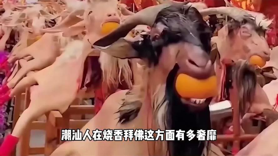 免费算命店能否改变我未来的失落与困惑(免费算命店让未来期望更加受挫) 免费算命店能否改变我未来的失落与困惑(免费算命店让未来期望更加受挫)