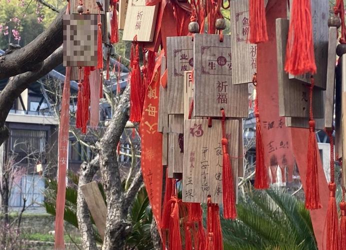 哪个属相女人际交往最好 哪个属相女人际交往最好