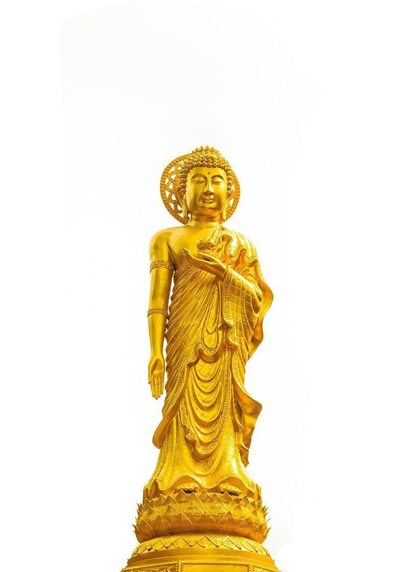 永不言弃的体育梦想不灭之歌公益歌曲发布 永不言弃的体育梦想不灭之歌公益歌曲发布