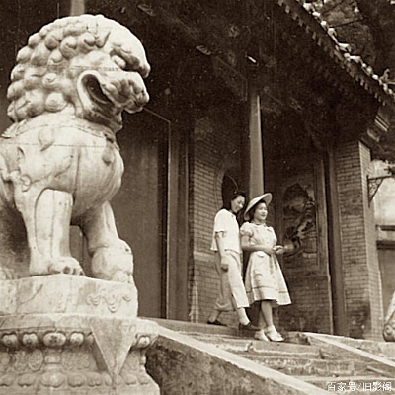 十二生肖属相五行命运 十二生肖怎么排金木水 十二生肖属相五行命运 十二生肖怎么排金木水
