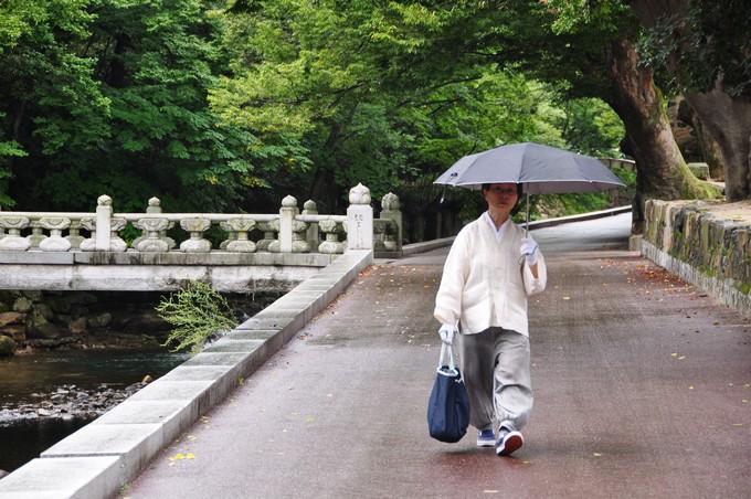 花生收获机 花生收获机什么牌子的质量好 花生收获机 花生收获机什么牌子的质量好