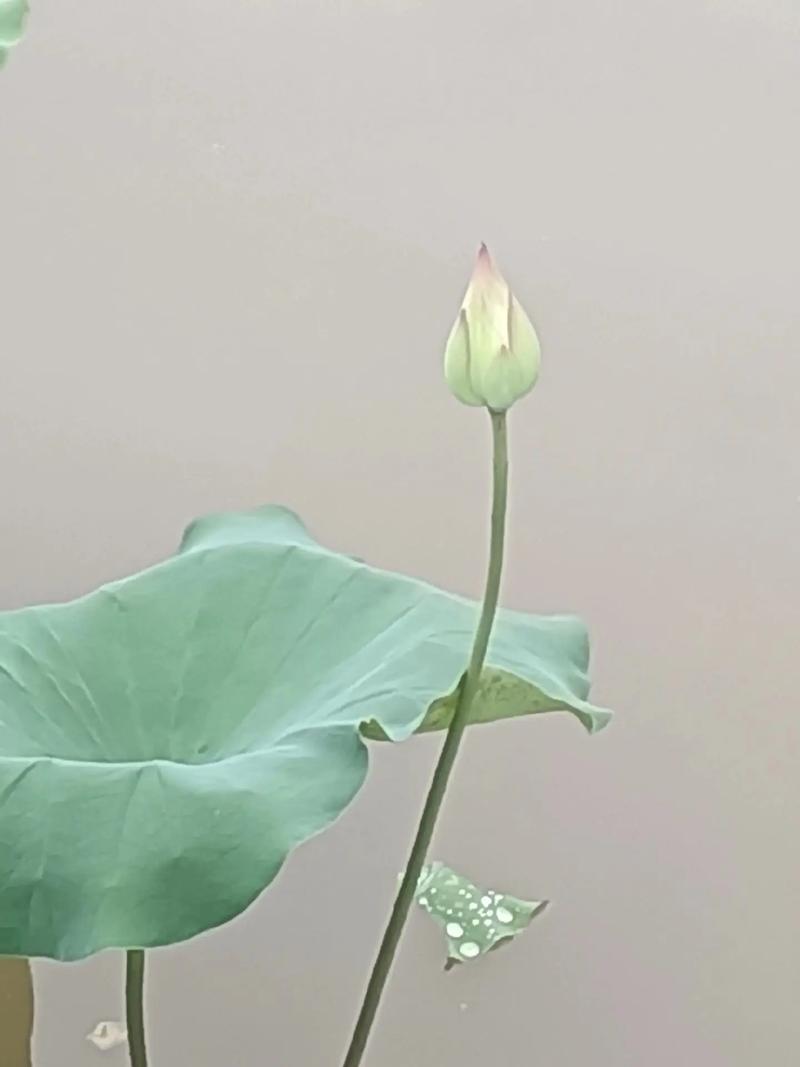 �����ݳ��� ���Ⱥ�����ݳ���