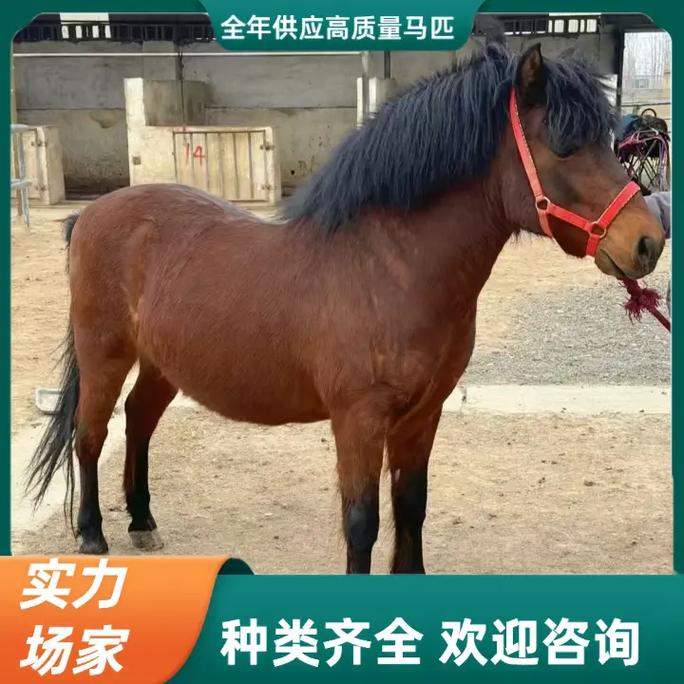 诸葛亮测字迷信吗为啥夫妻矛盾该以字为鉴(诸葛亮测字迷信吗为啥夫妻矛盾化解才智无双) 诸葛亮测字迷信吗为啥夫妻矛盾该以字为鉴(诸葛亮测字迷信吗为啥夫妻矛盾化解才智无双)