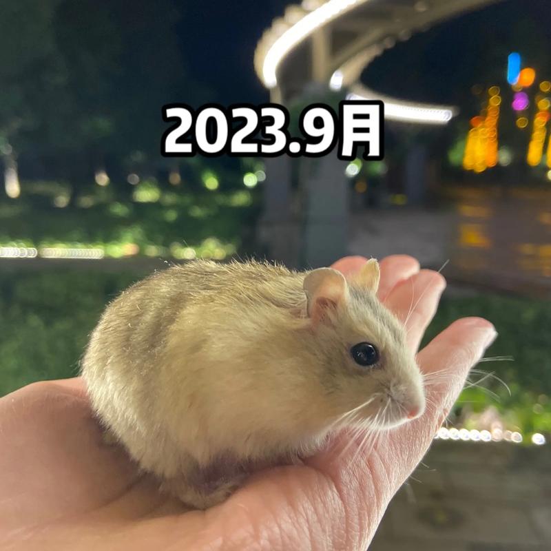 塔城周易卦象取名网能否帮助夫妻相互支持平衡五行吗(塔城周易卦象取名网能否帮助夫妻更好地互相支持与理解) 塔城周易卦象取名网能否帮助夫妻相互支持平衡五行吗(塔城周易卦象取名网能否帮助夫妻更好地互相支持与理解)