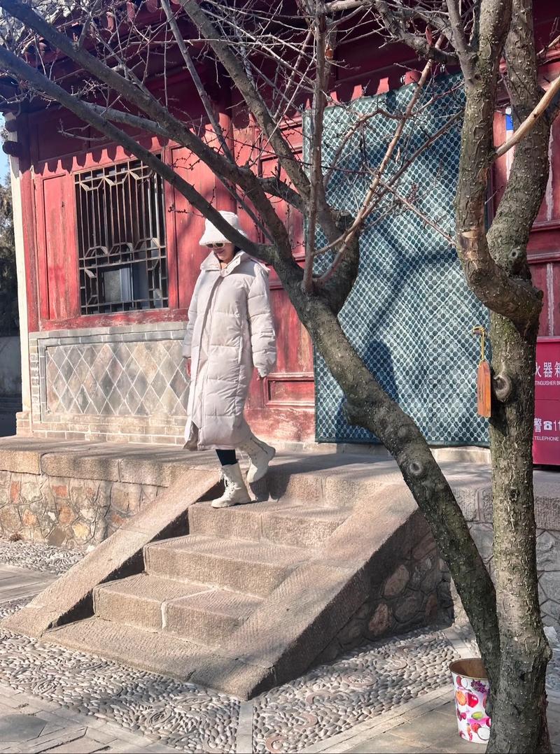 章子怡演过什么章子怡演过的电视剧 章子怡演过什么章子怡演过的电视剧